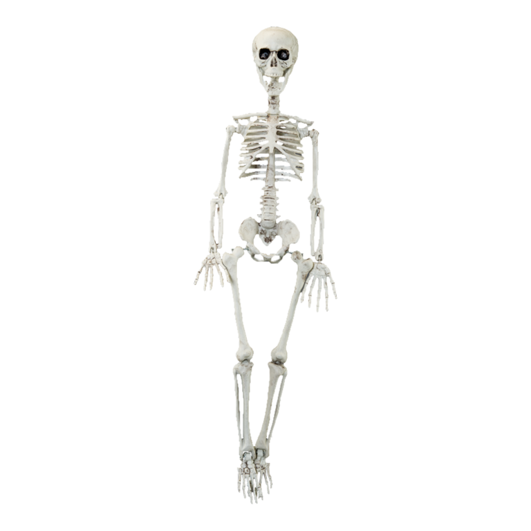 Skeleton,