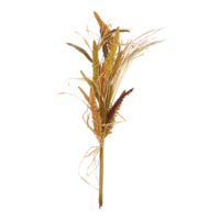 Wheat bundle,