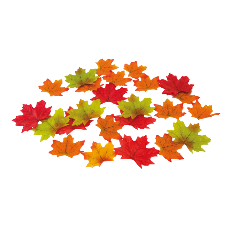 Small maple leaves,