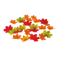 Small maple leaves,