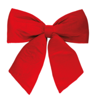 Velvet bow,