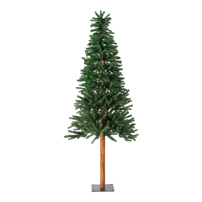 Pine tree,