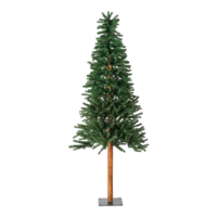 Pine tree,