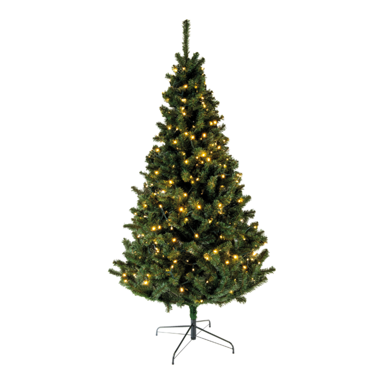 Noble fir,