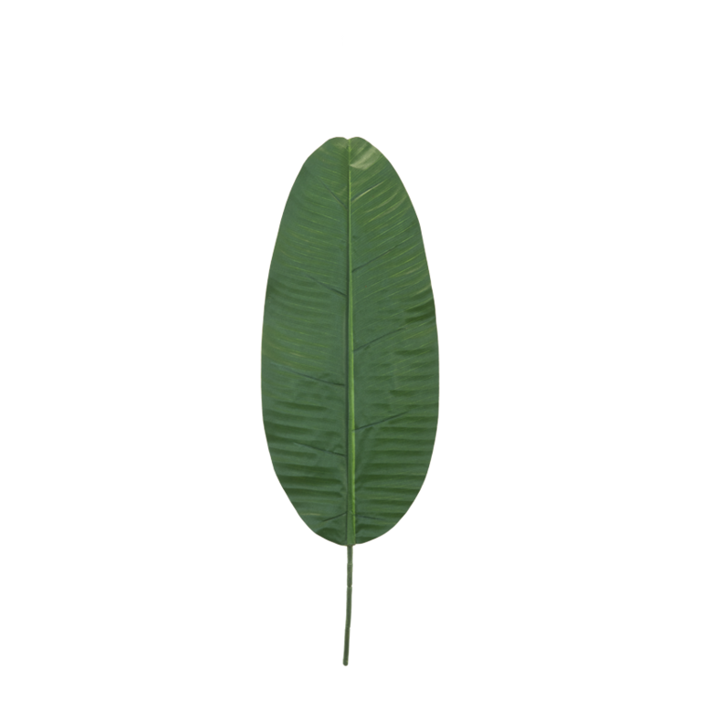 Banana leaf,