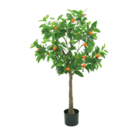 Orange tree,