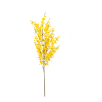Forsythia spray,