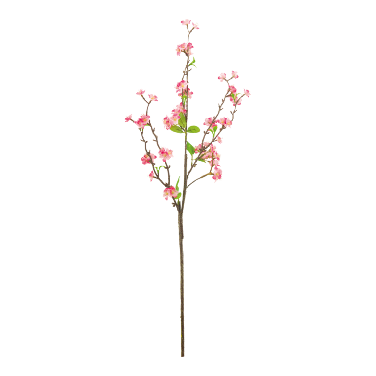 Blossom twig,