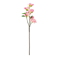 Flowering cherry twig,