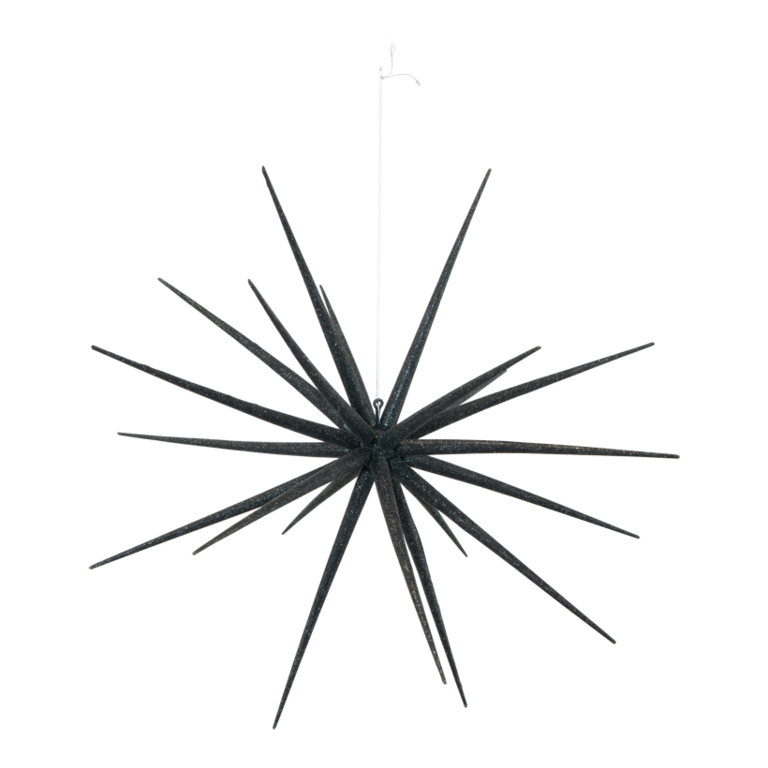 Sputnik star,