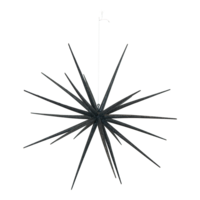 Sputnik star,