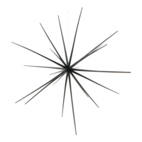 Sputnik star,