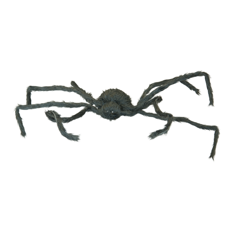 Spider,