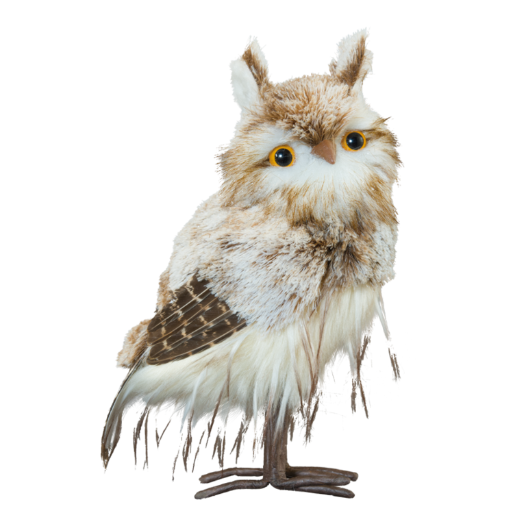Owl,