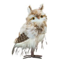 Owl,