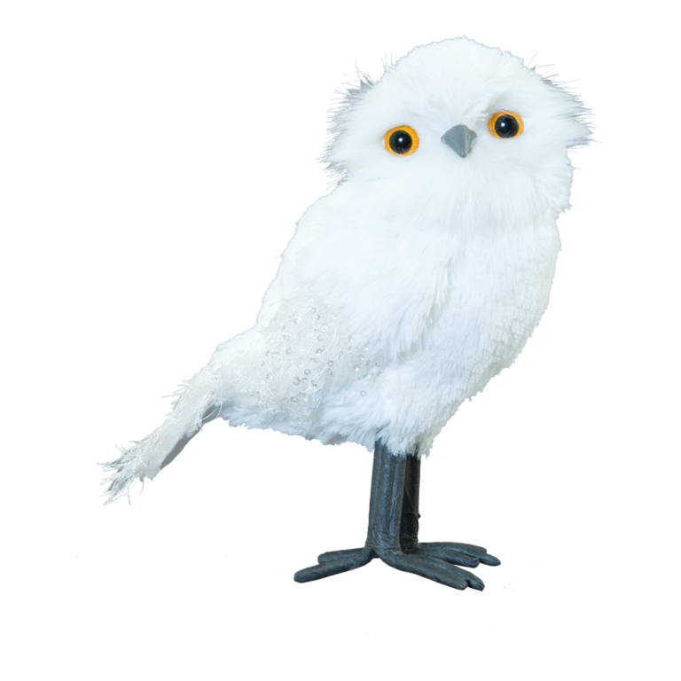 Snow owl,