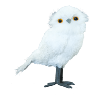 Snow owl,