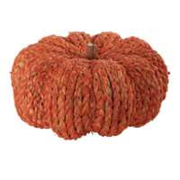 Pumpkin,