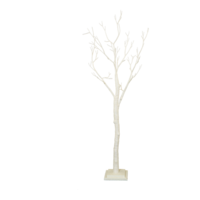 Coral tree,