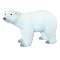Polar bear,