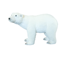 Polar bear,