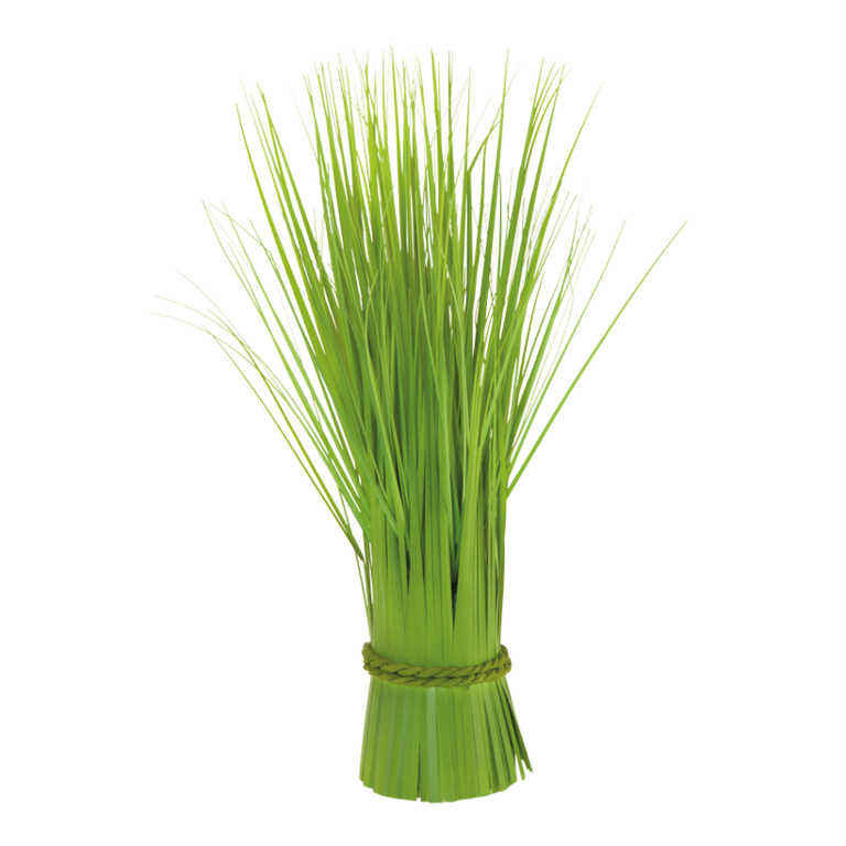 Reed bunch,