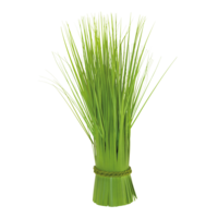 Reed bunch,