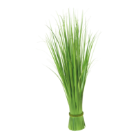 Reed grass bundles,