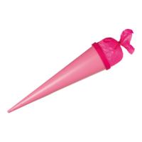 # School cone,