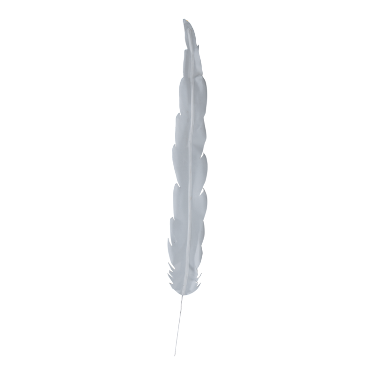 Feather,