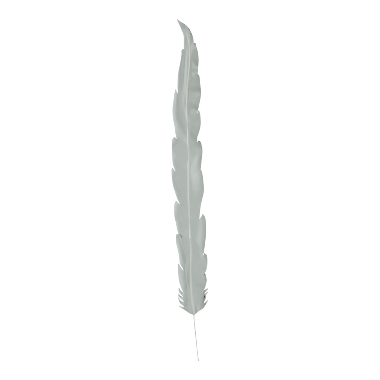Feather,