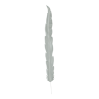 Feather,