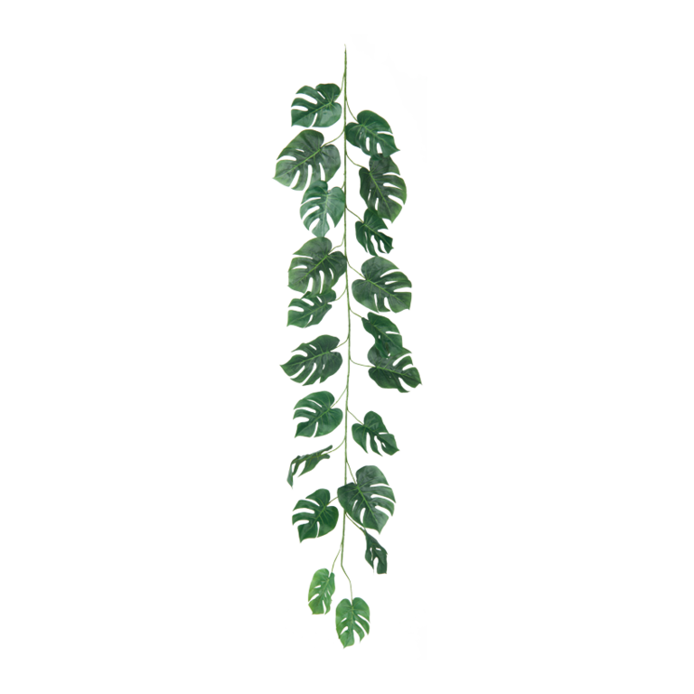 Split philo garland,