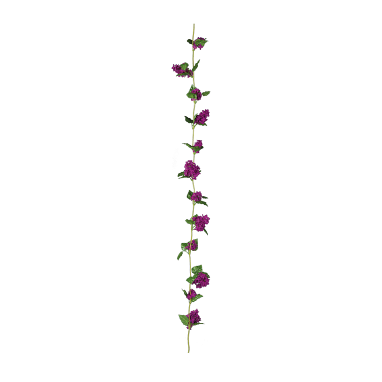 Lilac garland,