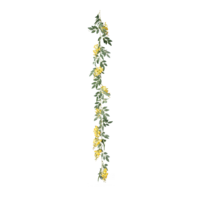 Wisteria garland,