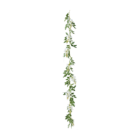 Wisteria garland,
