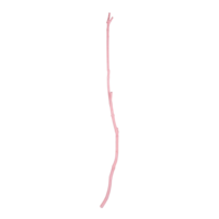 Wooden twig,