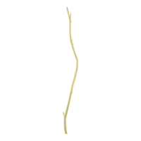 Wooden twig,
