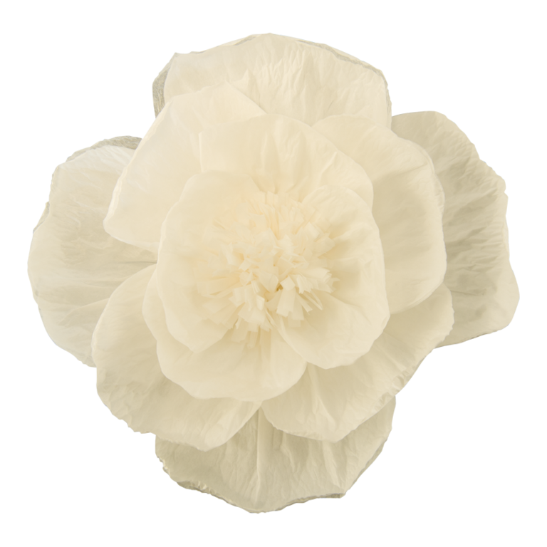 Flower, with short stem,