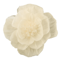 Flower, with short stem,