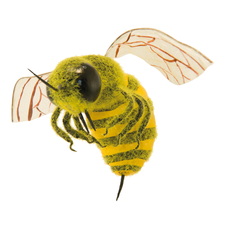 Giant hornet,