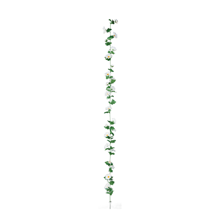 Daisy garland,