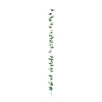 Daisy garland,