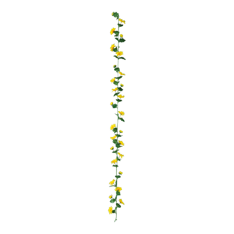 Daisy garland,
