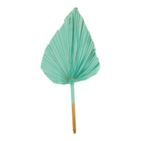 Palm leaf,