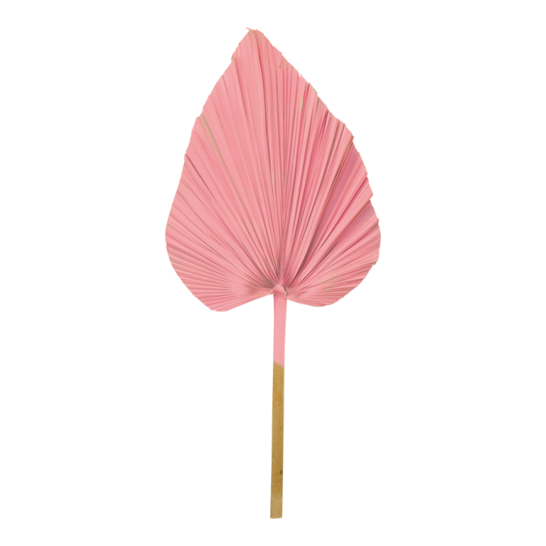 Palm leaf,