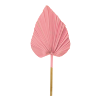Palm leaf,