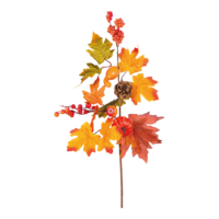 Spray autumnal,