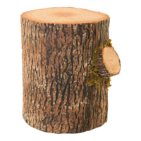 Trunk,