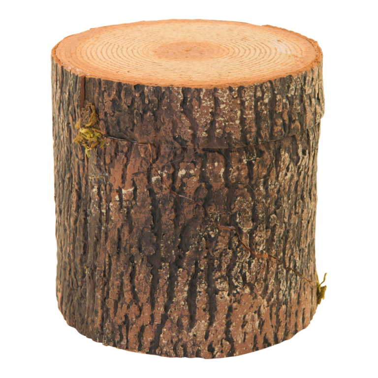 Trunk,